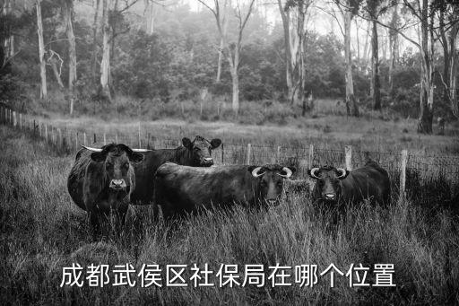 成都武侯區社保局在哪個位置