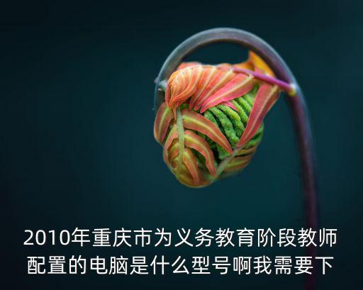 2010年重慶市為義務教育階段教師配置的電腦是什么型號啊我需要下