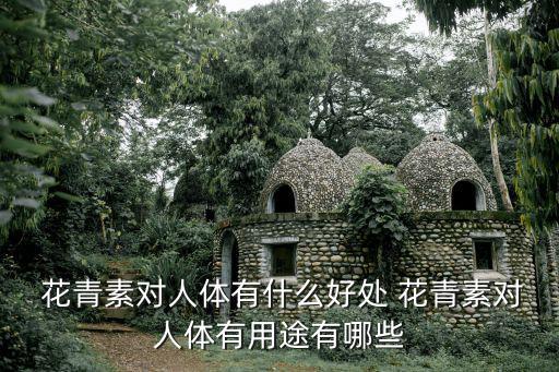  花青素對(duì)人體有什么好處 花青素對(duì)人體有用途有哪些