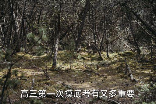 高三第一次摸底考有又多重要