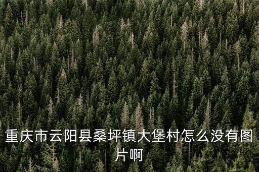 重慶市云陽縣桑坪鎮大堡村怎么沒有圖片啊
