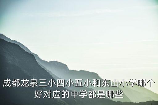 成都龍泉三小四小五小和東山小學哪個好對應的中學都是哪些