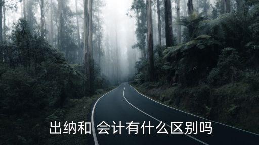  出納和 會計有什么區別嗎