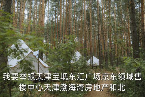我要舉報天津寶坻東匯廣場京東領域售樓中心天津渤海灣房地產和北