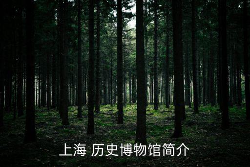 上海 歷史博物館簡介