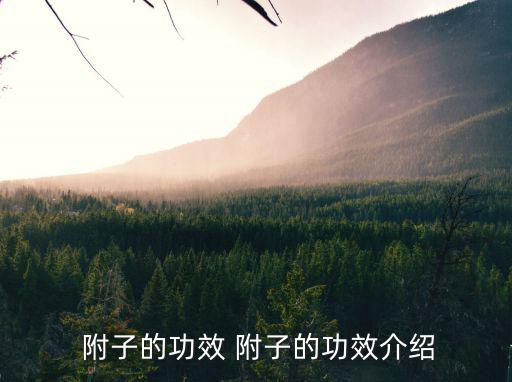 附子,附子可助心陽可助腎陽什么是附子?