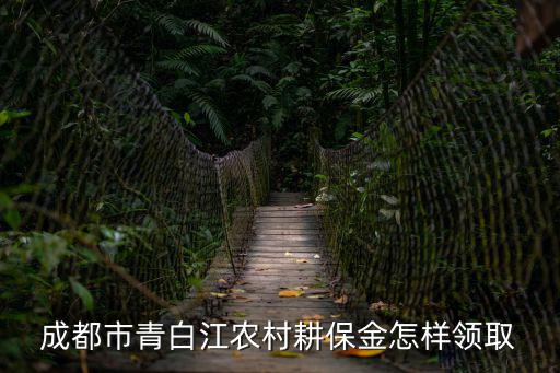 成都市耕保金的用途，四川省成都市雙流縣是否有這樣的規(guī)定必須買保險才能領取耕保基金