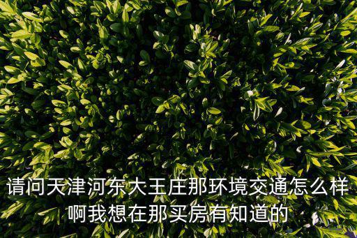 請(qǐng)問天津河?xùn)|大王莊那環(huán)境交通怎么樣啊我想在那買房有知道的