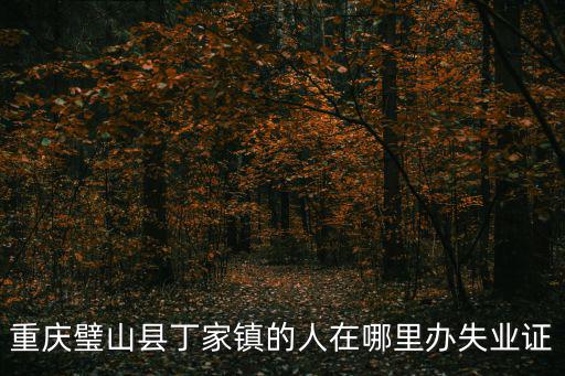 重慶璧山縣丁家鎮(zhèn)的人在哪里辦失業(yè)證