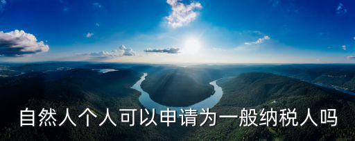 自然人個人可以申請為一般納稅人嗎