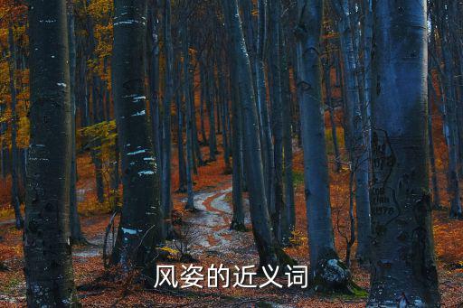 風姿的近義詞