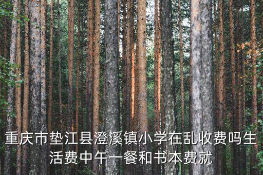 重慶市墊江縣澄溪鎮小學在亂收費嗎生活費中午一餐和書本費就