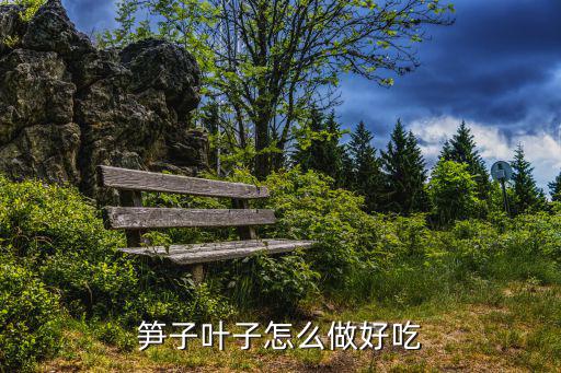 筍子葉子怎么做好吃