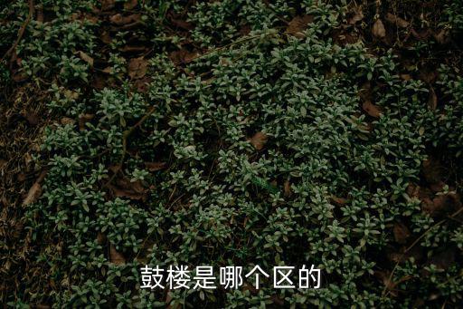 鼓樓是哪個區的
