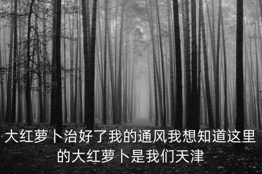 大紅蘿卜治好了我的通風我想知道這里的大紅蘿卜是我們天津