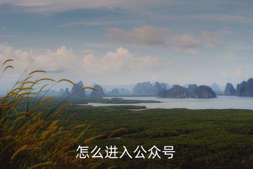 怎么進(jìn)入公眾號(hào)
