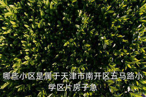 天津市五馬路小學學區房出售，想上天津南開五馬路小學是必須有所屬片的房產嗎沒房產有戶口不可