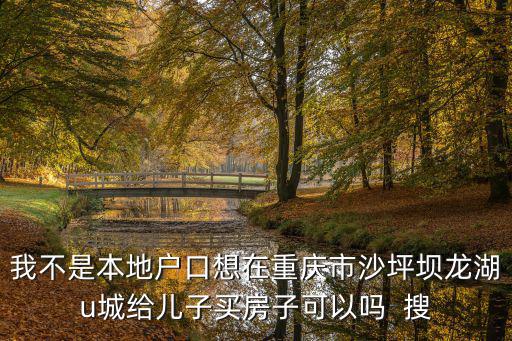 我不是本地戶口想在重慶市沙坪壩龍湖u城給兒子買房子可以嗎  搜