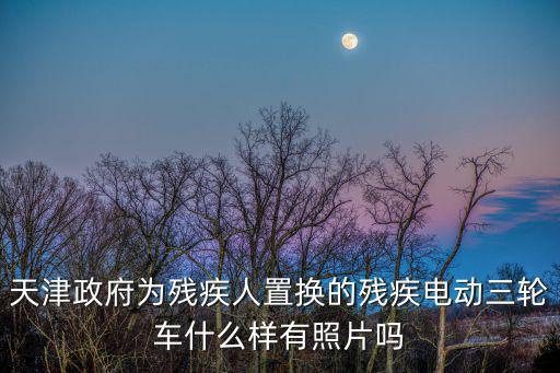 天津政府為殘疾人置換的殘疾電動三輪車什么樣有照片嗎
