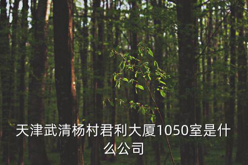 天津武清楊村君利大廈1050室是什么公司