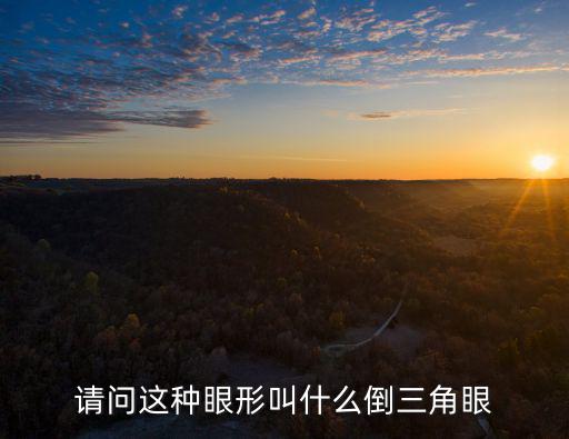 倒三角眼，請問這種眼形叫什么倒三角眼