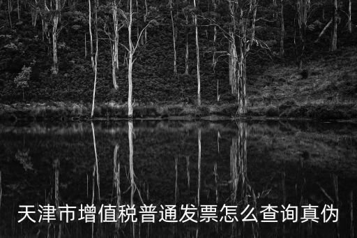 天津市公路汽車補充客票真偽查詢，天津市增值稅普通發票的真偽到底怎么查準確