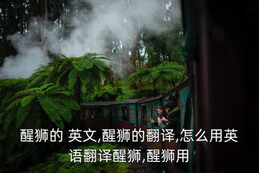 醒獅的 英文,醒獅的翻譯,怎么用英語翻譯醒獅,醒獅用