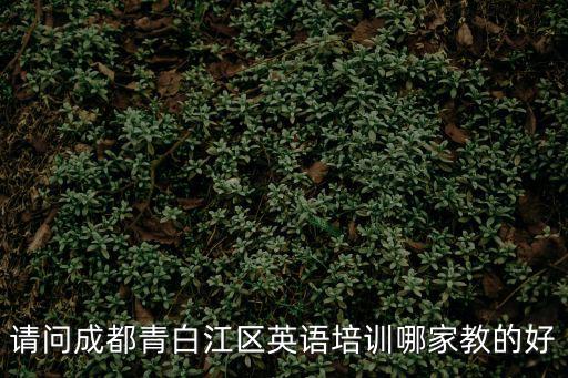 請(qǐng)問(wèn)成都青白江區(qū)英語(yǔ)培訓(xùn)哪家教的好