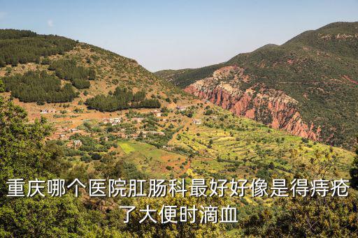 重慶哪個醫(yī)院肛腸科最好好像是得痔瘡了大便時滴血