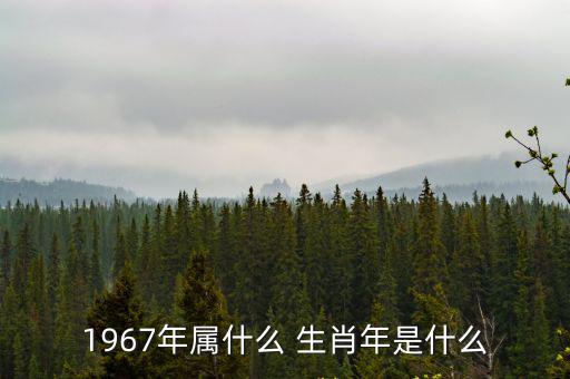 1967年屬什么 生肖年是什么