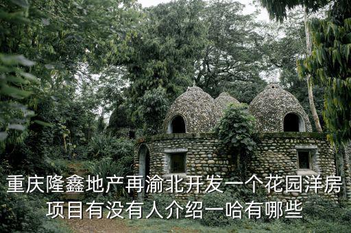 重慶隆鑫地產再渝北開發一個花園洋房項目有沒有人介紹一哈有哪些