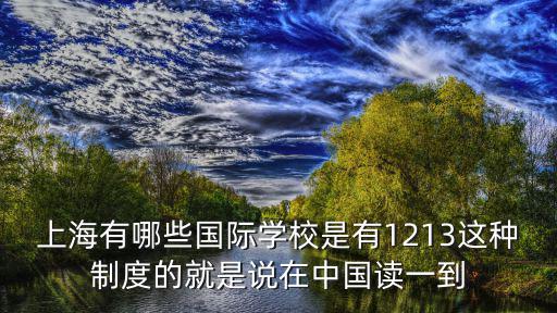 上海有哪些國際學校是有1213這種制度的就是說在中國讀一到