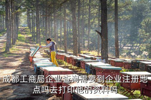成都工商局企業查詢需要到企業注冊地點嗎去打印他的資料嗎