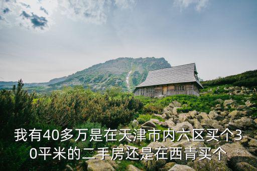 我有40多萬是在天津市內六區買個30平米的二手房還是在西青買個