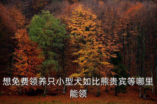 想免費(fèi)領(lǐng)養(yǎng)只小型犬如比熊貴賓等哪里能領(lǐng)