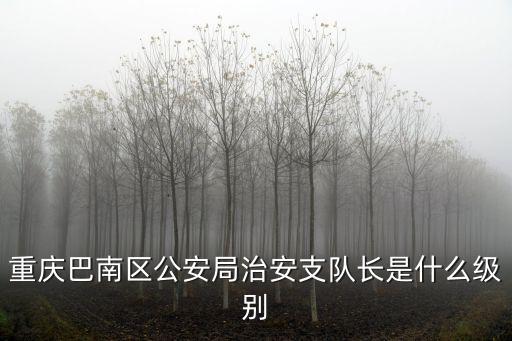 重慶市張璐，主持人張璐現在哪里呀