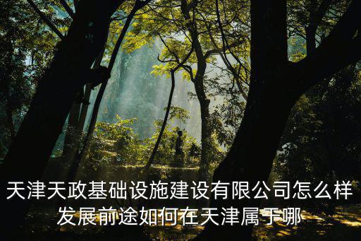 天津天政基礎設施建設有限公司怎么樣發展前途如何在天津屬于哪