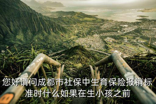 成都市個人生育險補繳，成都市生育保險可以補交去年的嗎