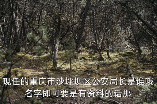 現任的重慶市沙坪壩區公安局長是誰哦名字即可要是有資料的話那
