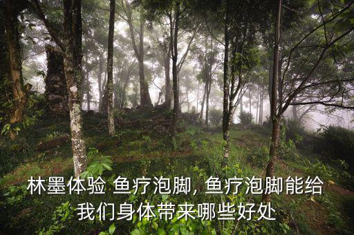 林墨體驗(yàn) 魚療泡腳, 魚療泡腳能給我們身體帶來哪些好處