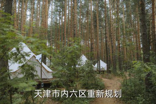 天津市天海區規劃，天津市內六區重新規劃