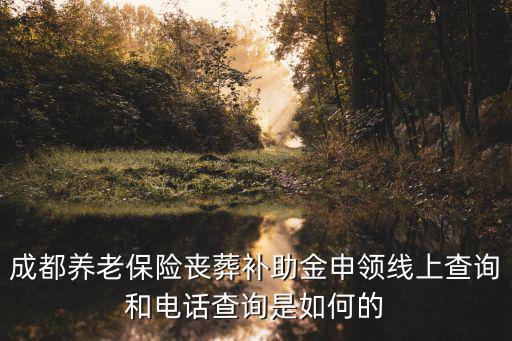 成都養老保險喪葬補助金申領線上查詢和電話查詢是如何的