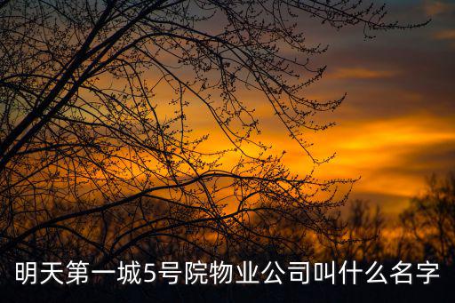 天津市龍都物業(yè)管理有限公司，明天第一城5號(hào)院物業(yè)公司叫什么名字