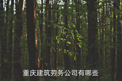 重慶建筑勞務公司有哪些