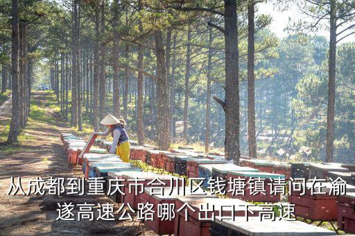 從成都到重慶市合川區錢塘鎮請問在渝遂高速公路哪個出口下高速