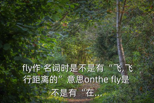  fly作 名詞時是不是有“飛,飛行距離的”意思onthe fly是不是有“在...