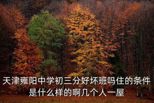 天津市雍陽(yáng)賽鴿俱樂(lè)部，天津雍陽(yáng)中學(xué)初三分好壞班嗎住的條件是什么樣的啊幾個(gè)人一屋