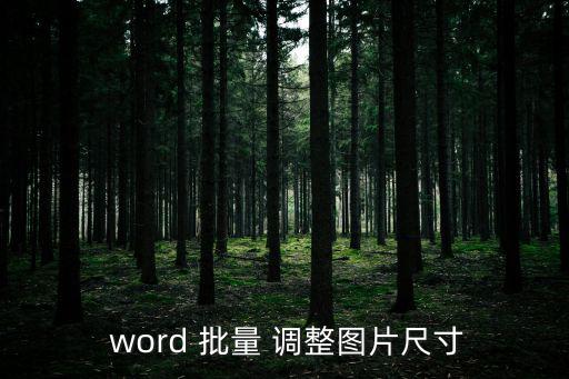  word 批量 調(diào)整圖片尺寸