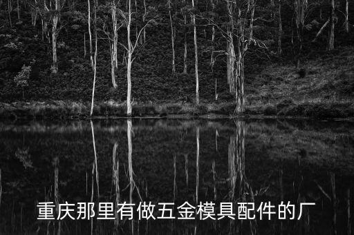 重慶那里有做五金模具配件的廠