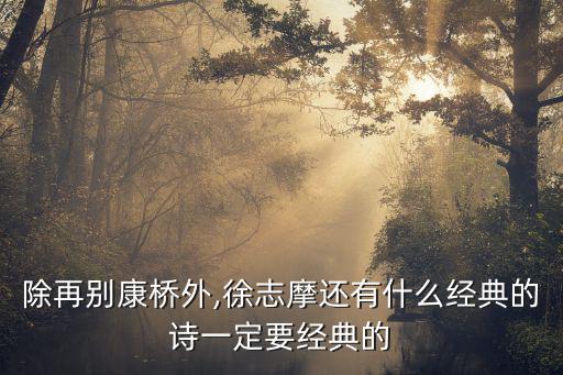 除再別康橋外,徐志摩還有什么經典的詩一定要經典的
